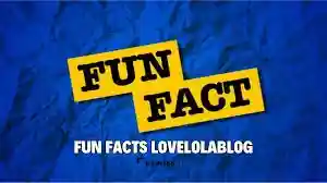 Lovelolablog Fun Facts: Surprising Tidbits Hidden Gems 2025