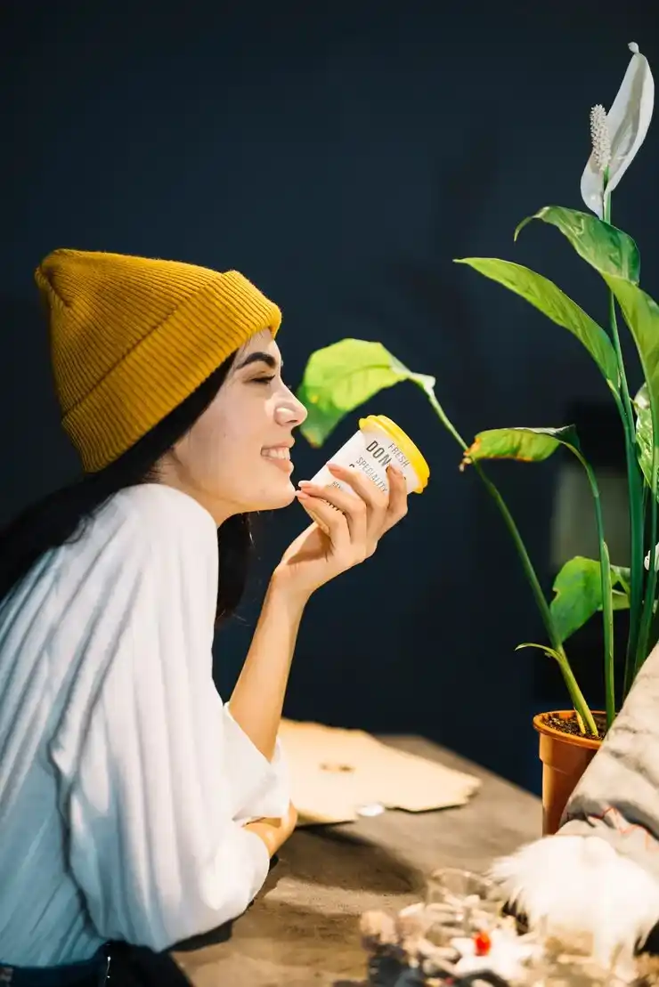 Maryjays DC Weed Juice Bar: A New Wave of Wellness