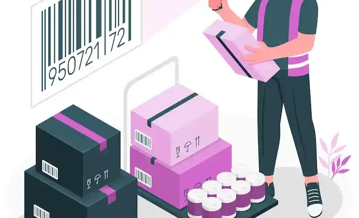 UPC 810043986496: Bridging Products with Digital Confidence