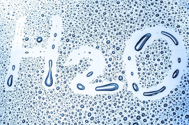hcooch ch2 h2o